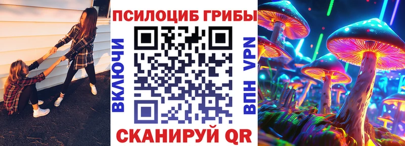 Галлюциногенные грибы Psilocybine cubensis  Купить где  Нелидово 